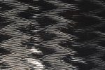DP_02